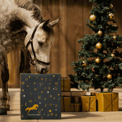 Countdown to Christmas: 2024 Advent Calendar for Horse Lovers! 🐴✨