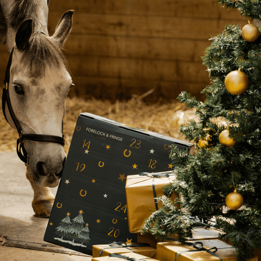 Countdown to Christmas: 2024 Advent Calendar for Horse Lovers! 🐴✨